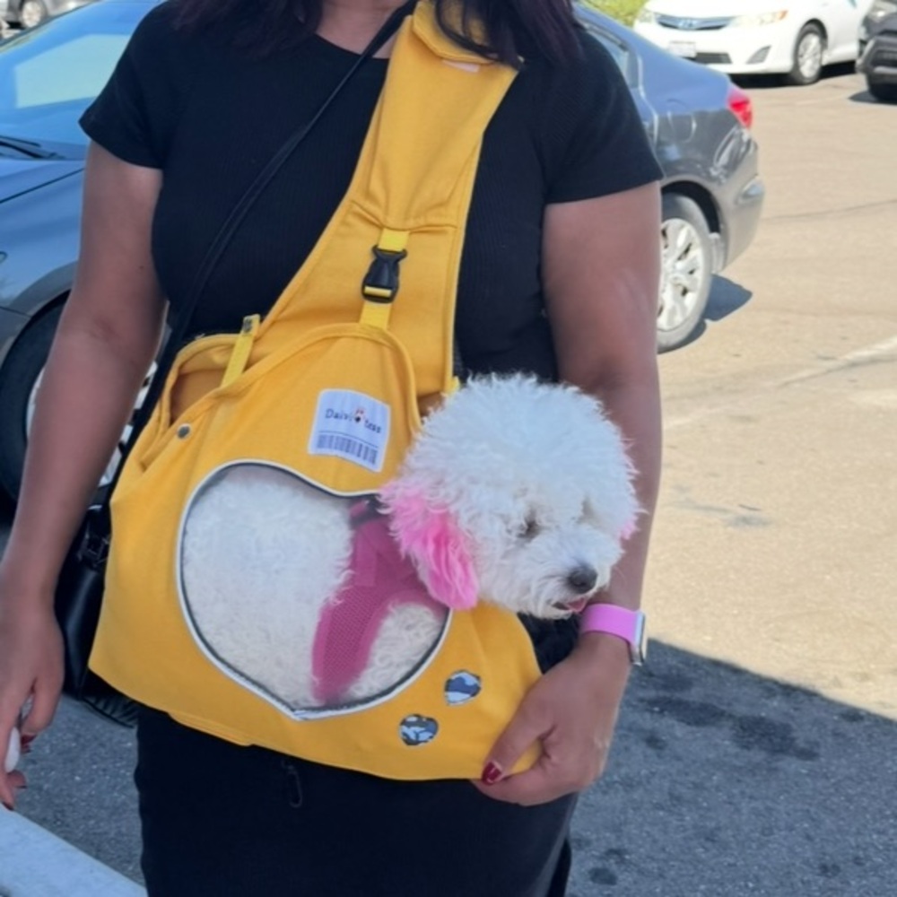 Yellow Pet Carrier Sling Bag